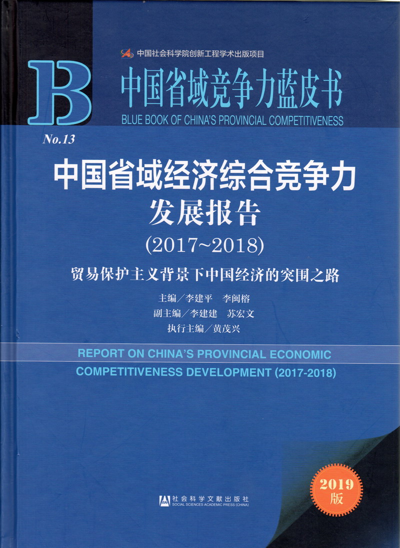 大鸡巴暴操骚浪逼视频中国省域经济综合竞争力发展报告（2017-2018）